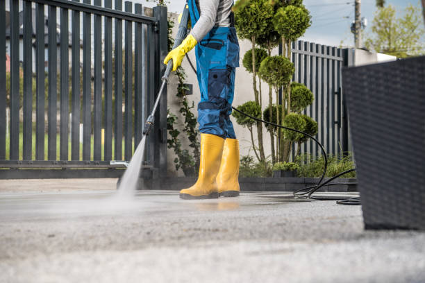 Best Patio and Deck Pressure Washing  in Pimmit Hills, VA