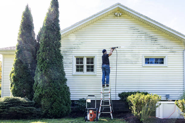Best House Exterior Washing  in Pimmit Hills, VA